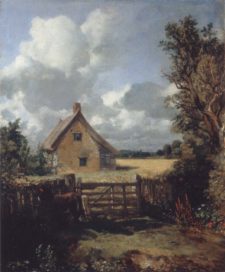A cottage in a cornfield